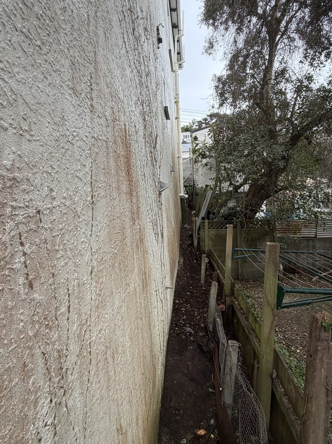 Cleared side passage after clearance — Tidy Troopers
