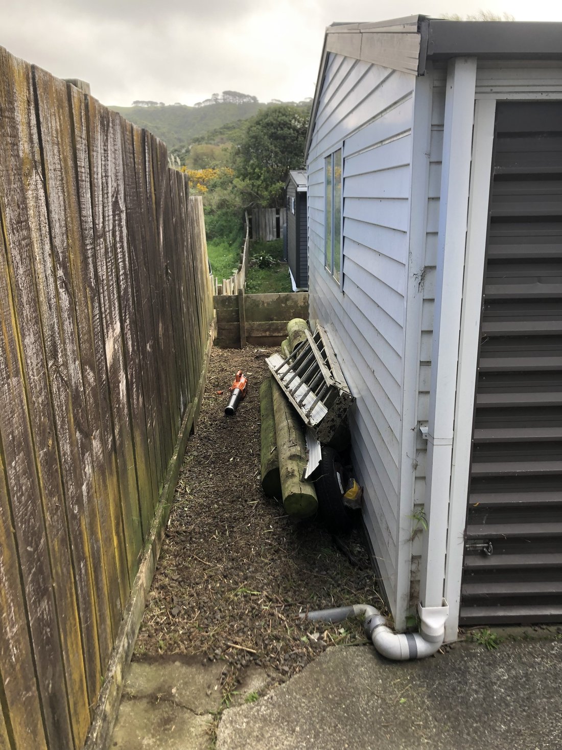 Cleared strip after blackberry removal — Tidy Troopers
