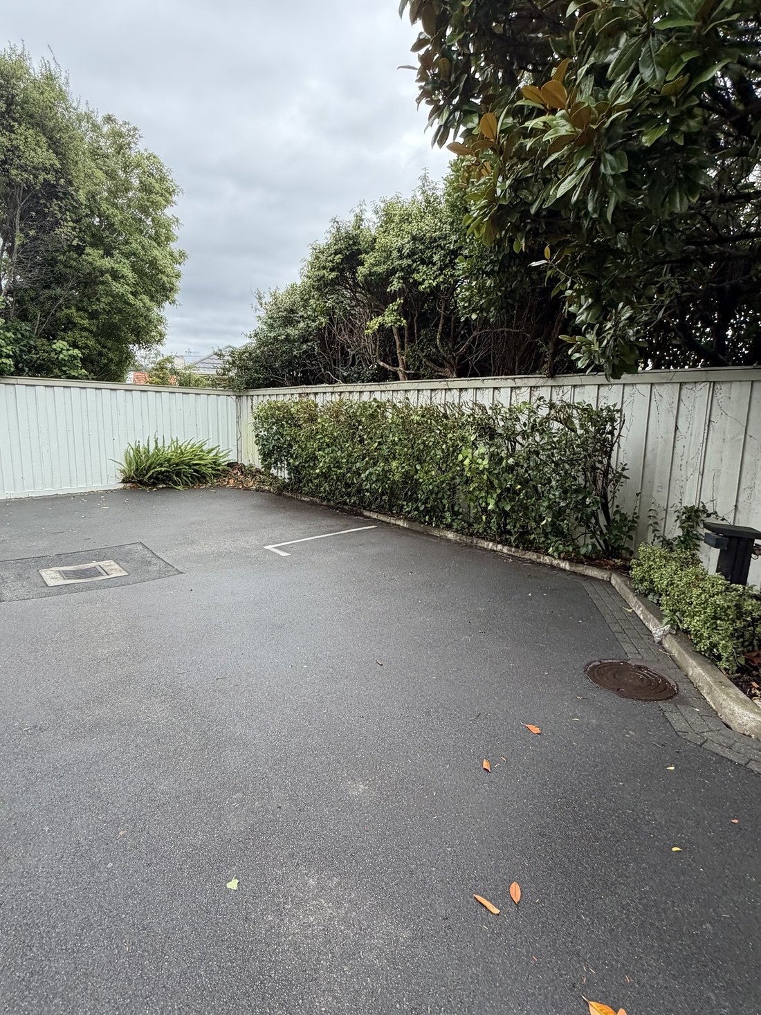 Neatly trimmed hedge after maintenance — Tidy Troopers
