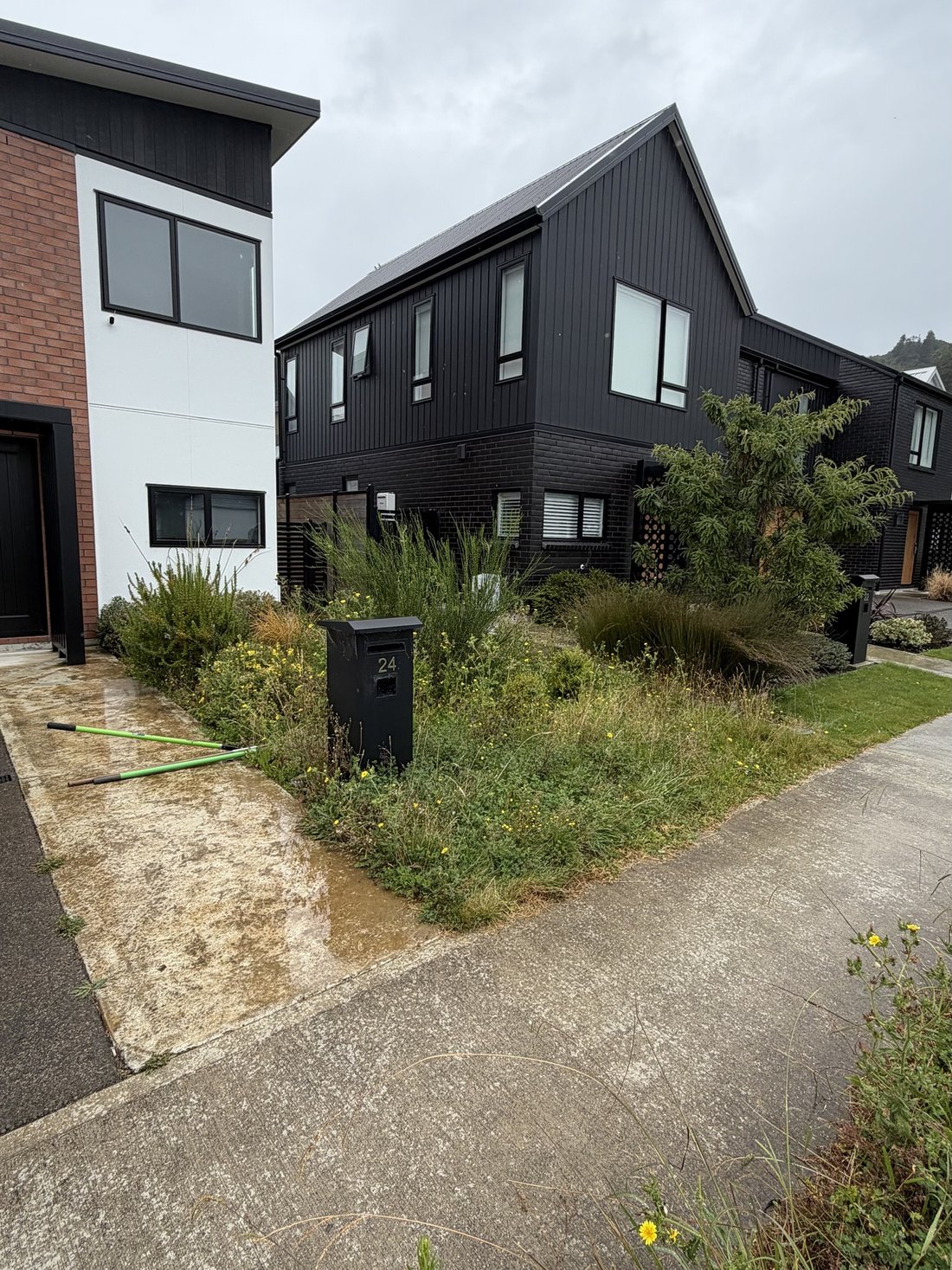 Overgrown front garden before reset — Tidy Troopers