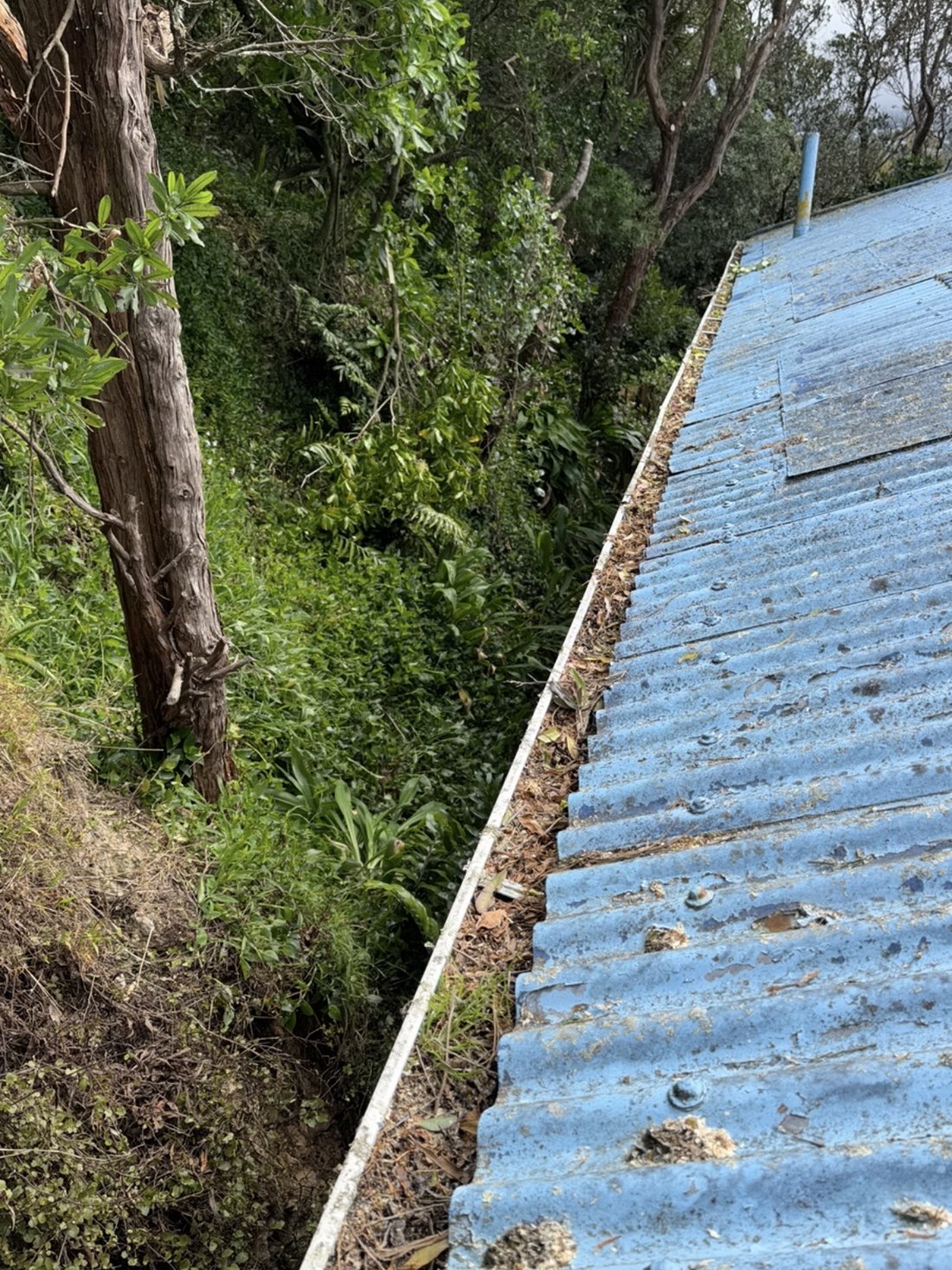 Blocked gutter before clean — Tidy Troopers