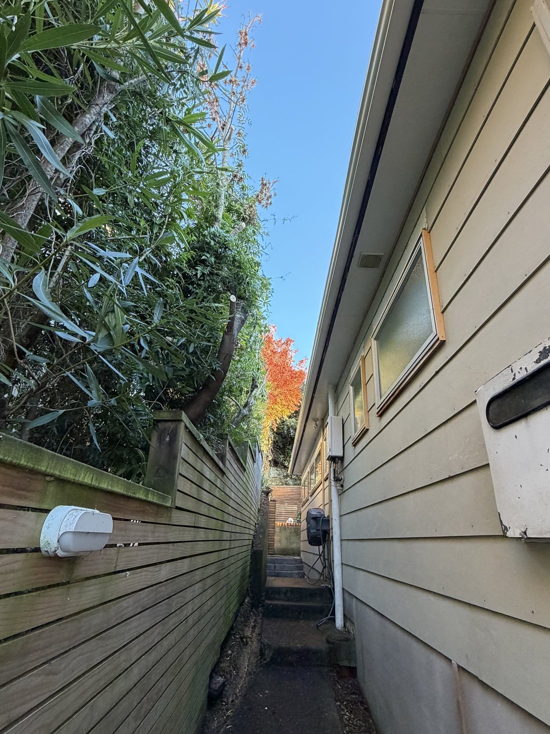 Passage after tree pruning — Tidy Troopers