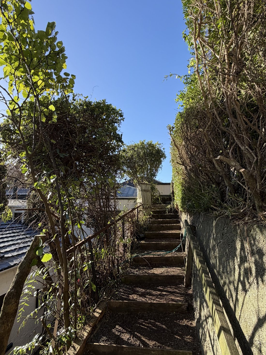 Steps cleared after tree pruning — Tidy Troopers