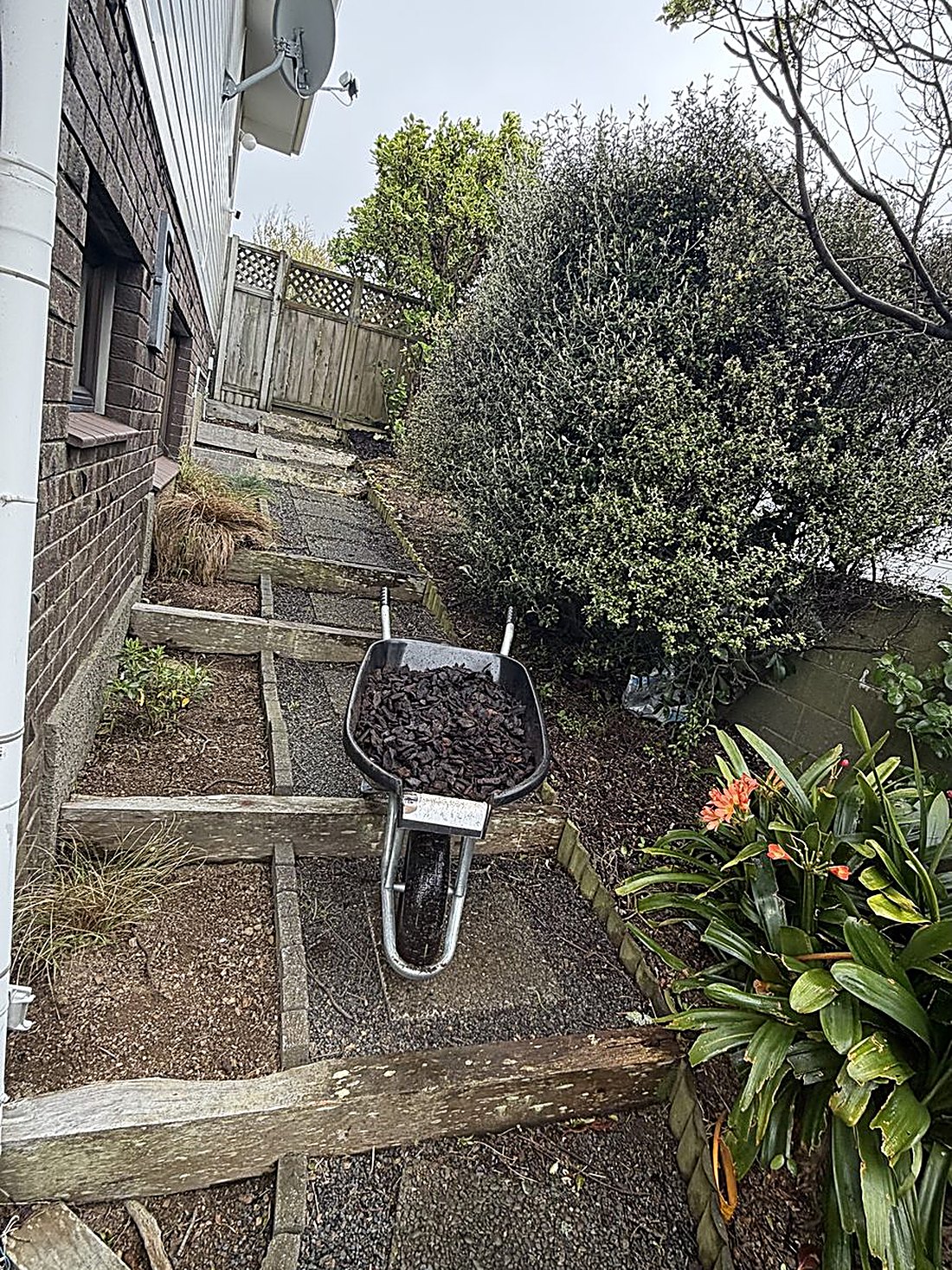Garden bed before bark top up — Tidy Troopers