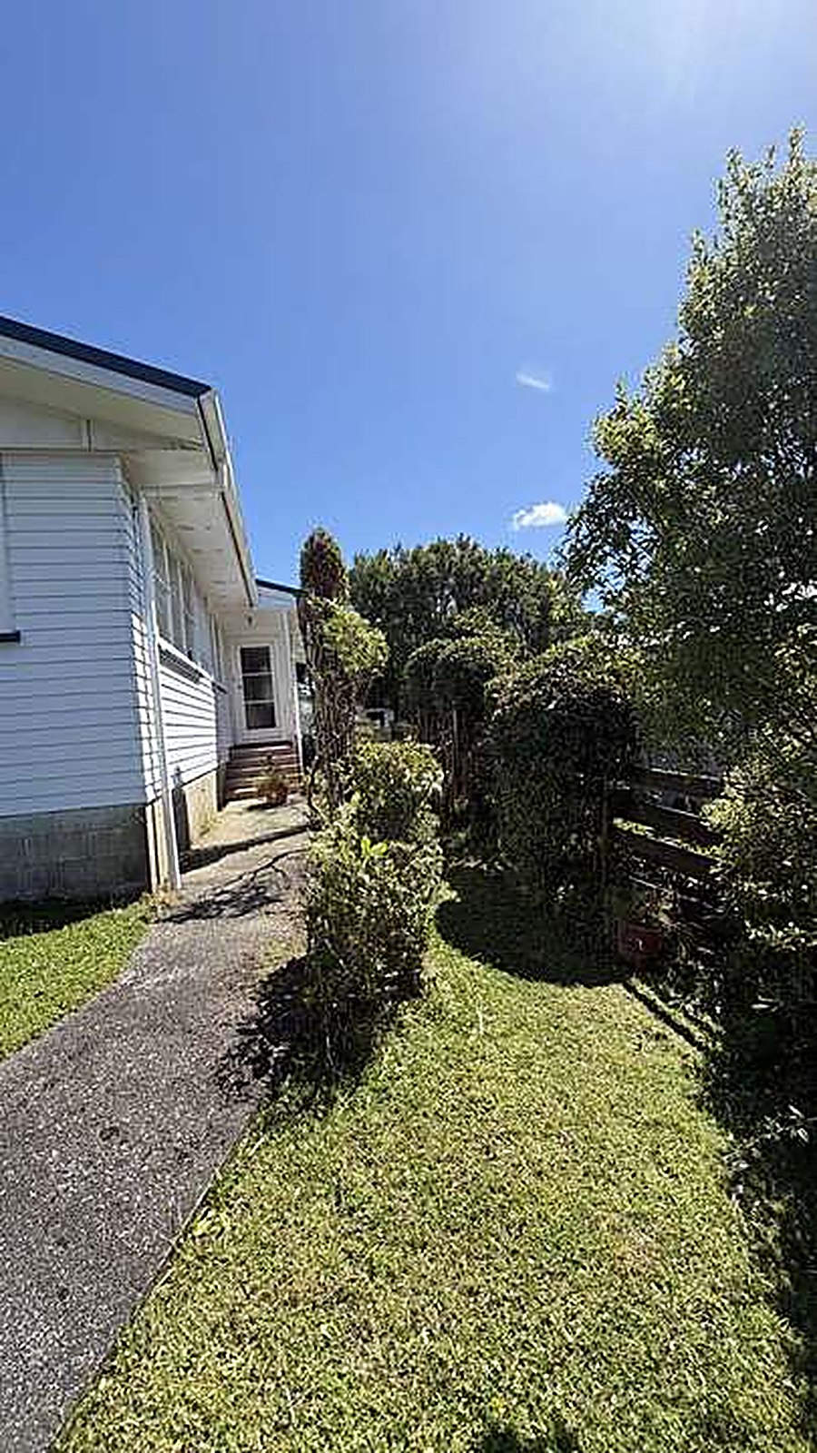 HEDGE & TREE TRIMMING after — Tidy Troopers