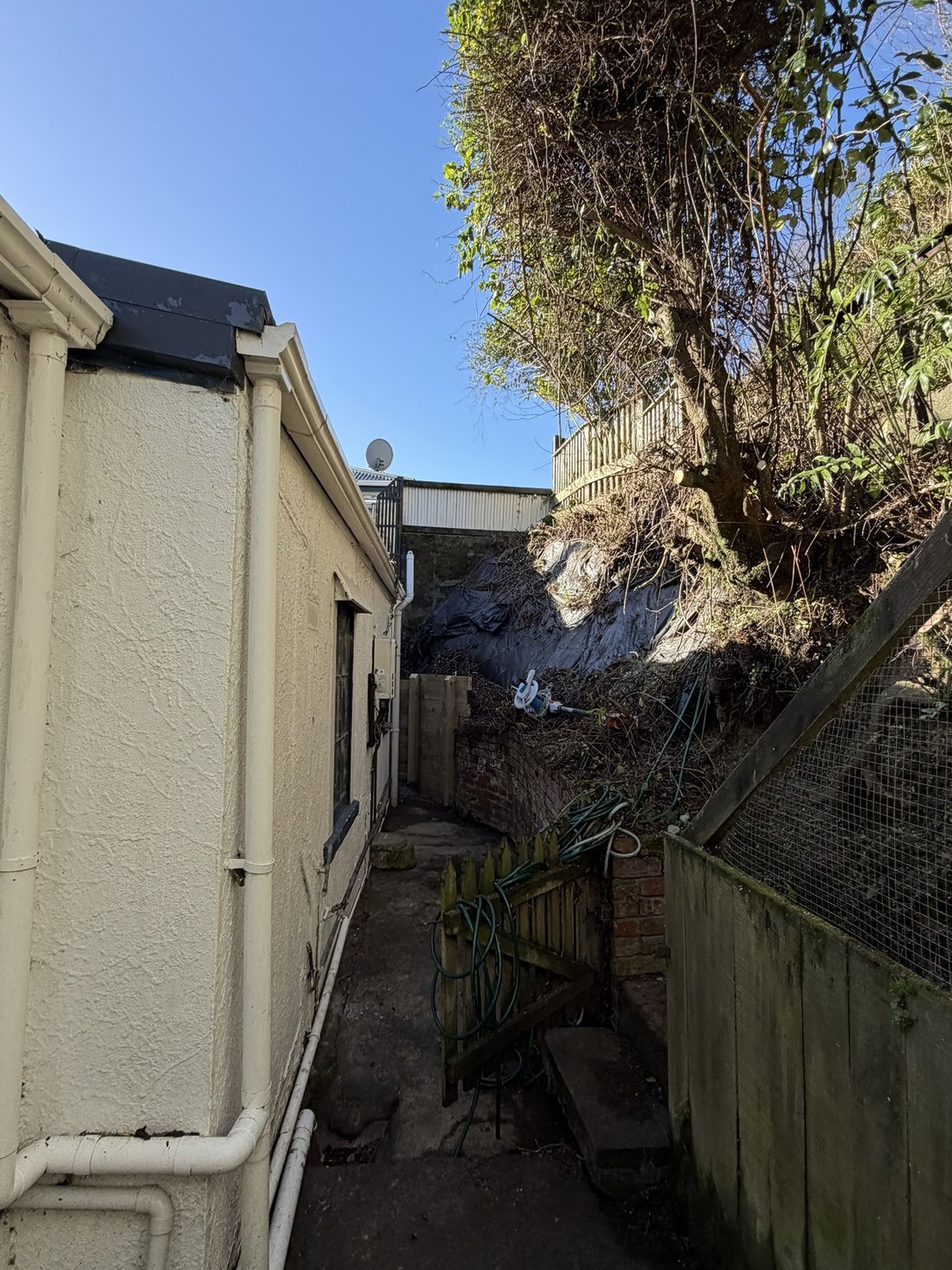 Passage after tree pruning — Tidy Troopers